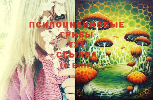 твердый Алексеевка