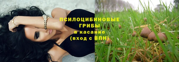 ALPHA PVP Алексин