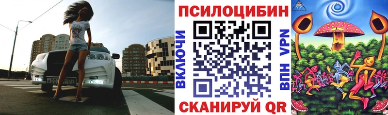купить наркотики цена  Ардон  Галлюциногенные грибы Cubensis 